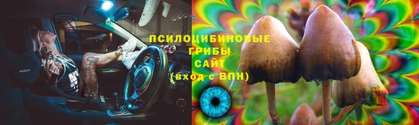 синтетический гашиш Белокуриха